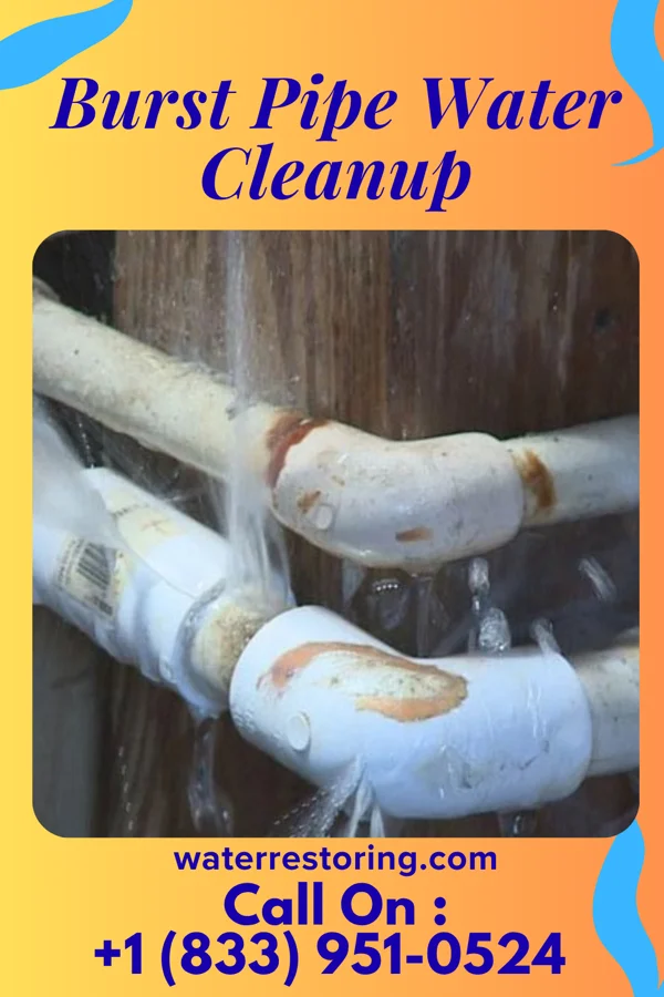 Burst Pipe Water Cleanup in Athens, WV