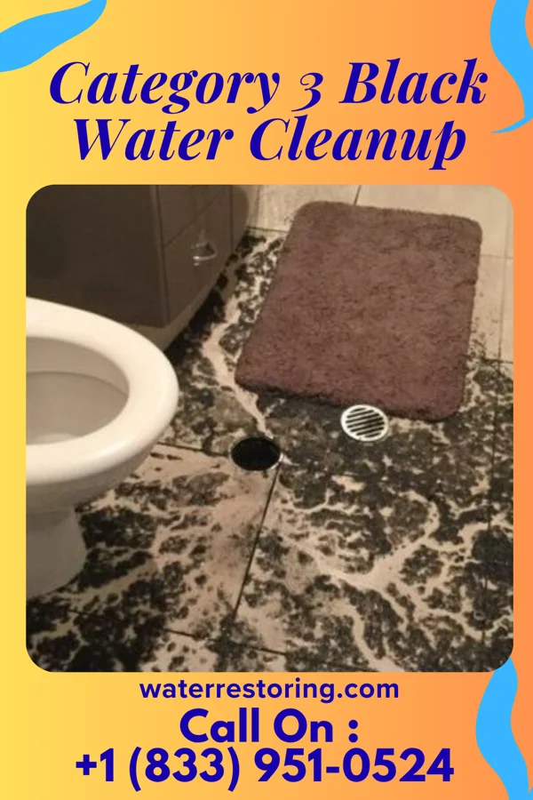 Category 3 Black Water Cleanup in Athens, WV