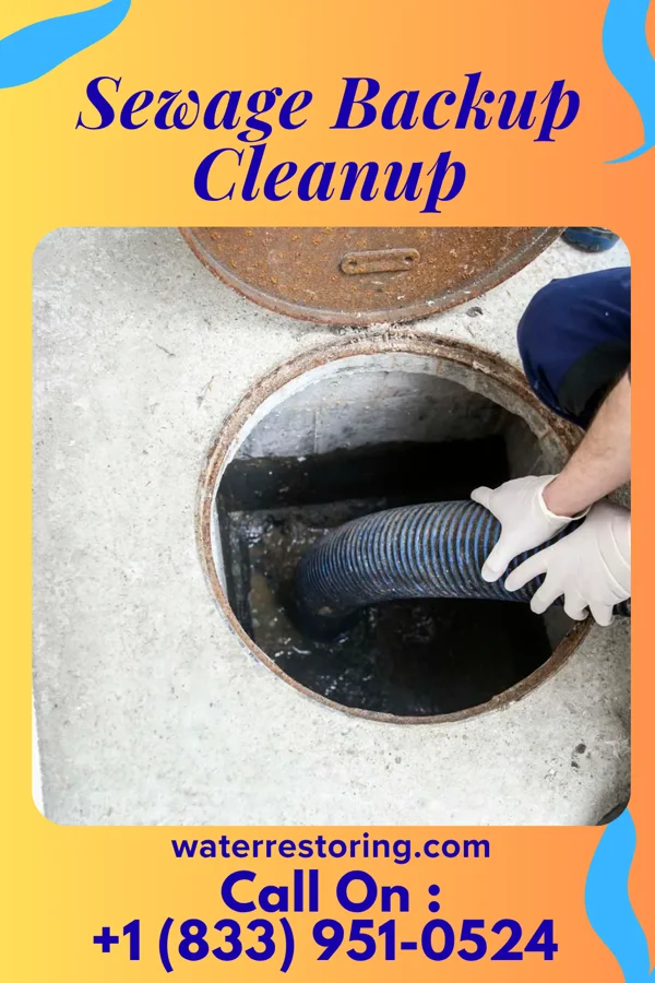 Sewage Backup Cleanup in Athens, WV
