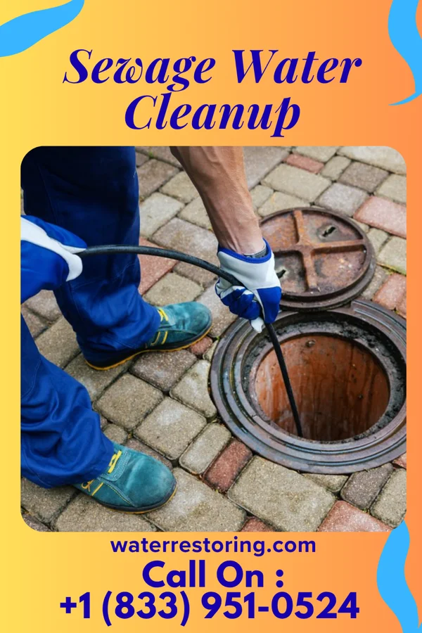 Sewage Water Cleanup in Athens, WV