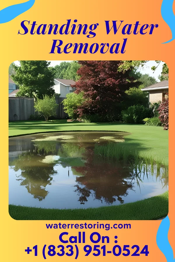 Standing Water Removal in Athens, WV